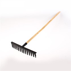 12079_middle