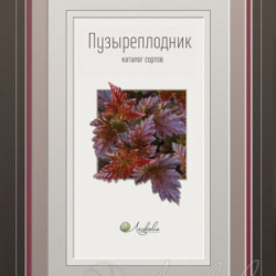 katalog-puzyreplodnikov-9511-m