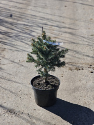 13540